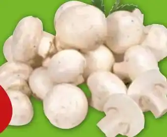 Edeka Gut & Günstig Frische Champignons Angebot