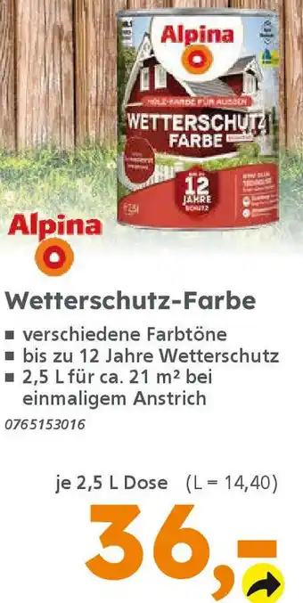 Globus Baumarkt Alpina Wetterschutz-Farbe Angebot