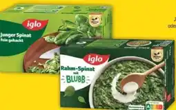 E-Center Iglo Junger Spinat Angebot