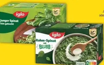 E-Center Iglo Junger Spinat Angebot