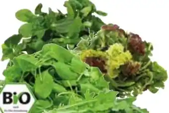 Edeka Bio-Rucola Angebot