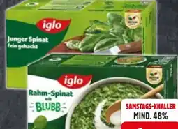 Edeka Iglo Junger Spinat Angebot