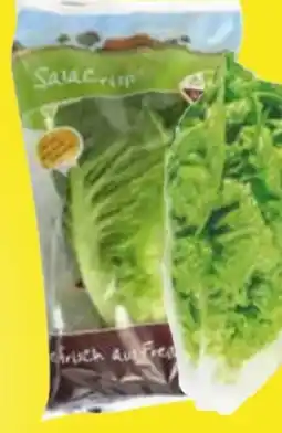 Edeka Behr Gemüsegarten Mini Romanasalat SalaCrisp Angebot
