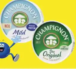 Edeka Käserei Champignon Camembert Angebot