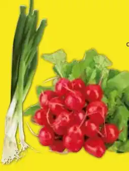 Edeka Radieschen Angebot
