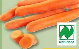 REWE Center Rewe Bio Bio-Speisemöhren Angebot
