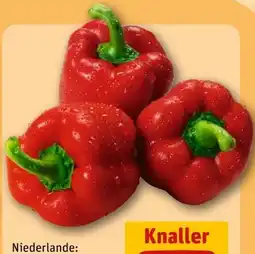 REWE Center Rote Paprika Angebot