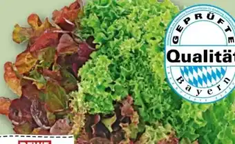 REWE Rewe Regional Wurzelsalate Angebot