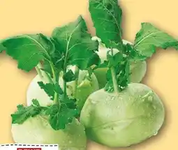REWE Center Rewe Regional Kohlrabi Angebot