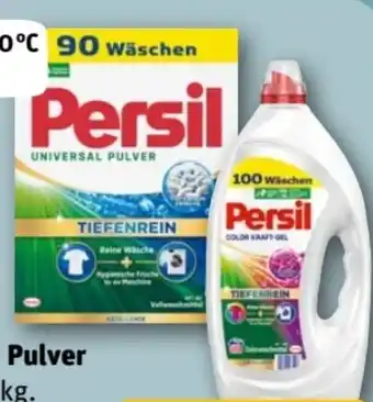 REWE Persil Universalwaschmittel Pulver Angebot
