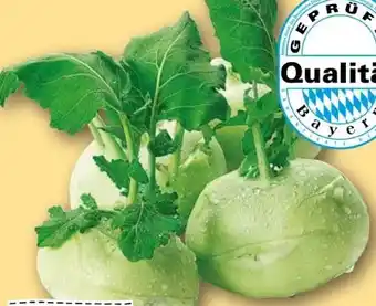 REWE Rewe Regional Kohlrabi Angebot