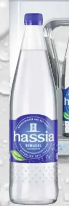 trinkgut Hassia Mineralwasser Angebot
