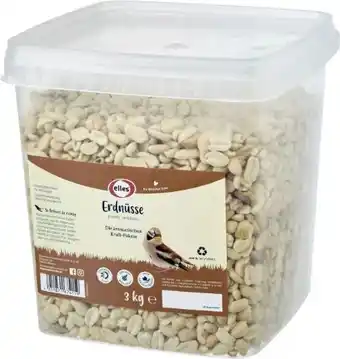 Globus Baumarkt Elles Erdnusskerne Angebot