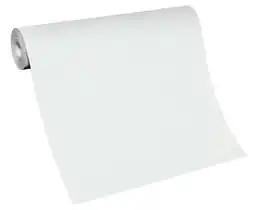 Globus Baumarkt Primaster Renoviervlies Angebot
