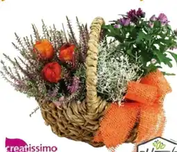 Globus Baumarkt Bepflanzter Herbstkorb Angebot