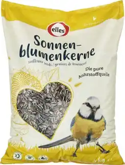 Globus Baumarkt Elles Sonnenblumenkerne Angebot