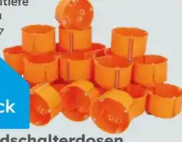 Globus Baumarkt Hohlwand-Schalterdose Angebot