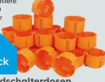 Globus Baumarkt Hohlwand-Schalterdose Angebot