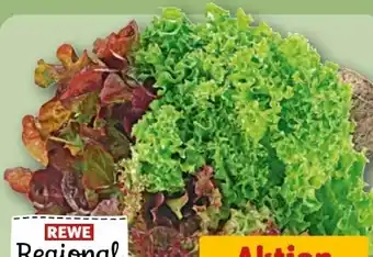 REWE Rewe Regional Wurzelsalat Salattrio Angebot
