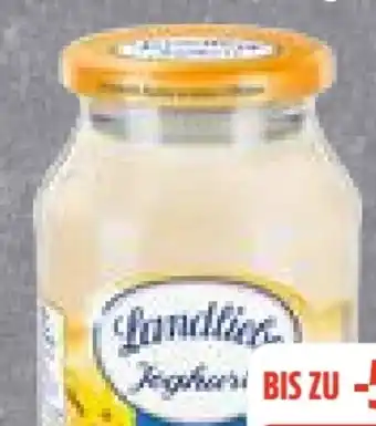 Edeka Frischemarkt Landliebe Joghurt Angebot