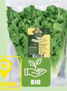 Edeka Unsere Heimat Bio Salatherzen Mini Romana Angebot