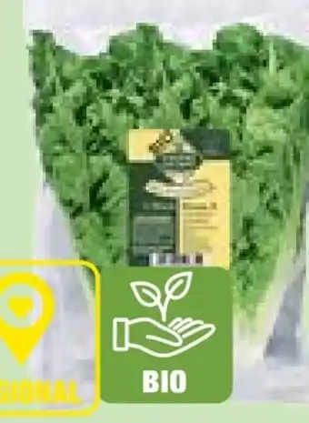 Edeka Unsere Heimat Bio Salatherzen Mini Romana Angebot