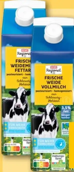 REWE Rewe Regional Weidemilch Angebot
