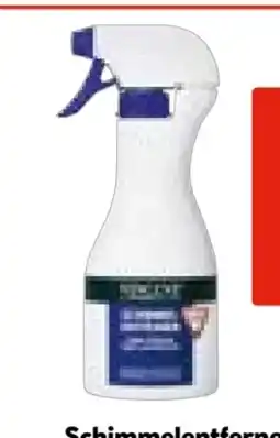 Hellweg Vincent Schimmelentferner Angebot