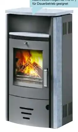 Hellweg Kaminofen Stockholm 4.0 Angebot