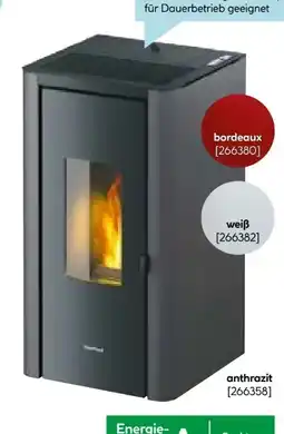 Hellweg Pelletofen Indigo Angebot