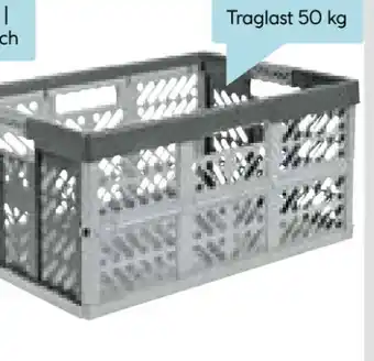 Hellweg Keeeper Profi-Klappbox Ben Angebot