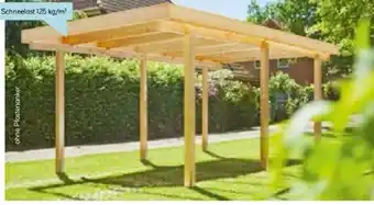 Hellweg Carport Lärche Angebot