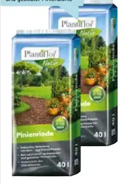 Hellweg Plantiflor Pinienrinde Angebot