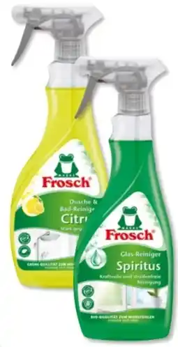 Budni Frosch Glas-Reiniger Angebot