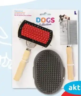 Budni Dogs Collection Hundebürsten-Set Angebot