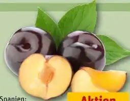 REWE Pflaumen Angebot