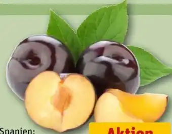 REWE Pflaumen Angebot