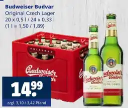 Getränkewelt Budweiser budvar original czech lager Angebot