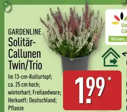 Aldi Nord Gardenline solitär-callunen twin/trio Angebot