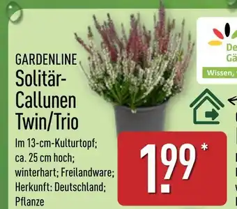 Aldi Nord Gardenline solitär-callunen twin/trio Angebot