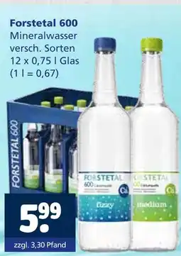 Getränkewelt Forstetal 600 mineralwasser Angebot