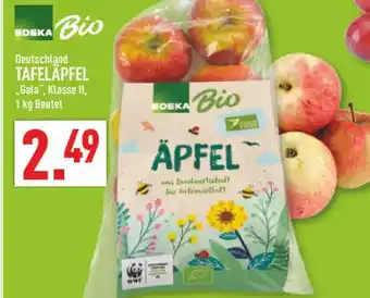 Marktkauf Edeka tafeläpfel gala klasse ii Angebot