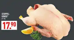 Marktkauf Stoppel-gänse Angebot