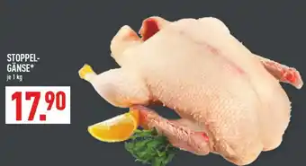 Marktkauf Stoppel-gänse Angebot