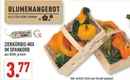 Marktkauf Zierkürbis-mix im spankorb Angebot
