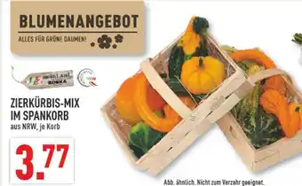Marktkauf Zierkürbis-mix im spankorb Angebot