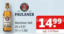 Getränke Oase Paulaner münchner hell Angebot