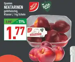 Marktkauf Gut & günstig nektarinen Angebot