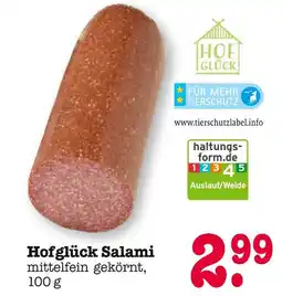 E-Center Hofglück salami Angebot