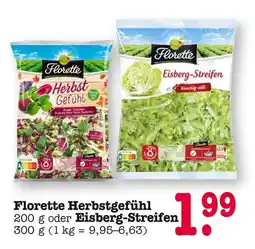 E-Center Florette herbstgefühl Angebot
